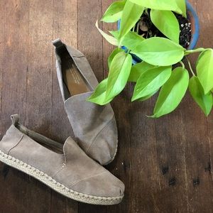 Men’s 8.5 Suede Toms